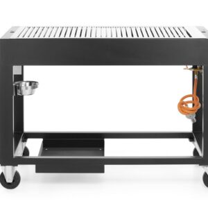 Hendi Tampa gas BBQ