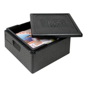 Thermo Future Box thermobox | pizza